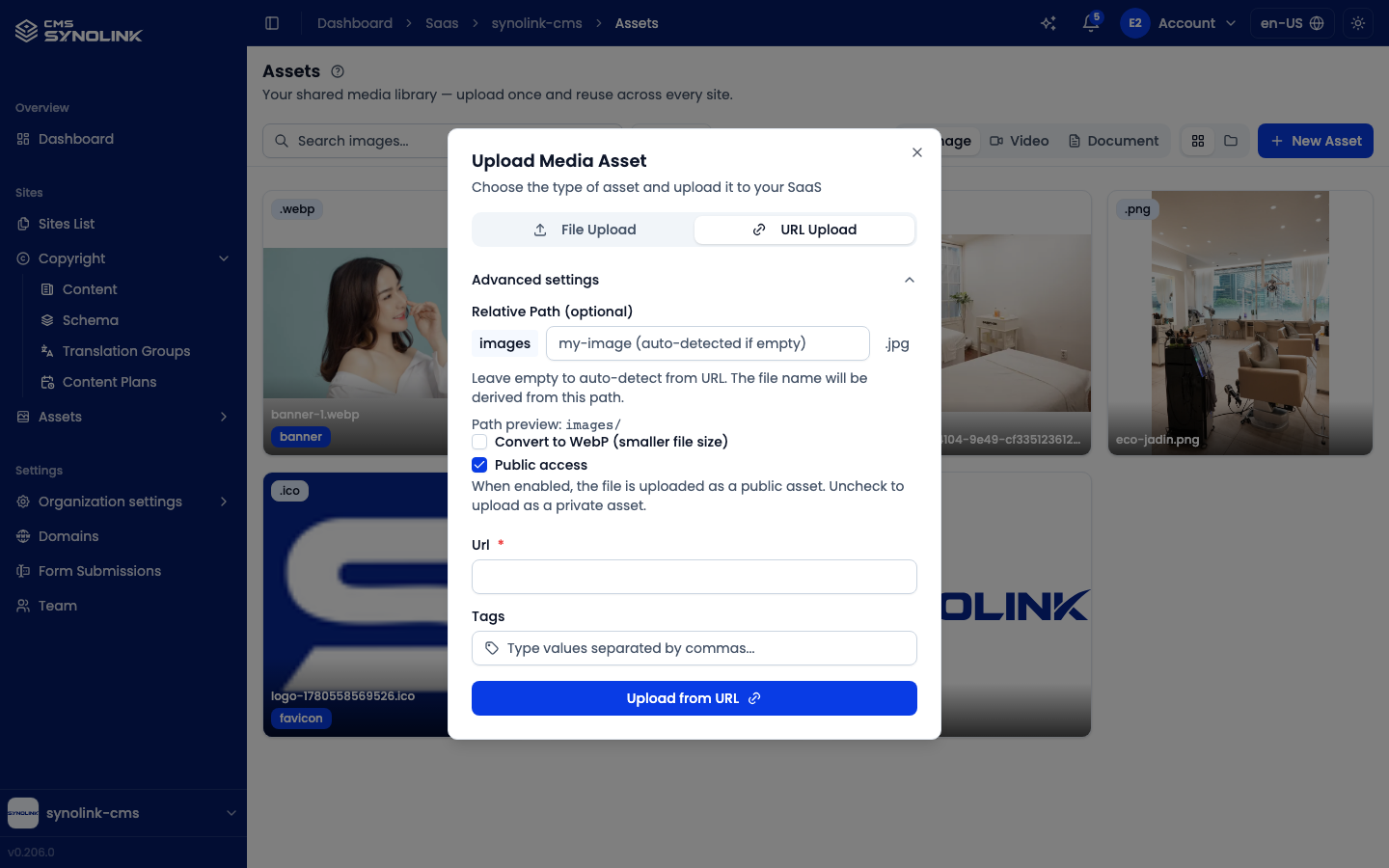 URL upload with advanced settings